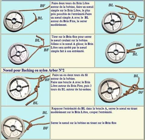Tutoriel : Noeud d'Arbor pour moulinet
