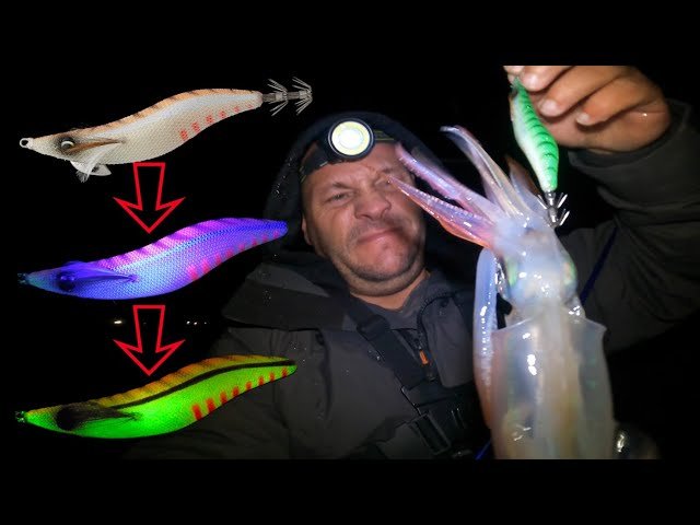 Leurres turluttes phosphorescents pour calamar