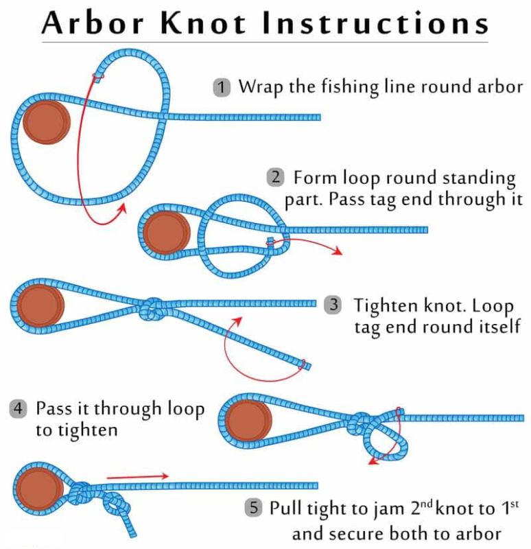 Tutoriel noeud d'Arbor pour attacher fil au moulinet