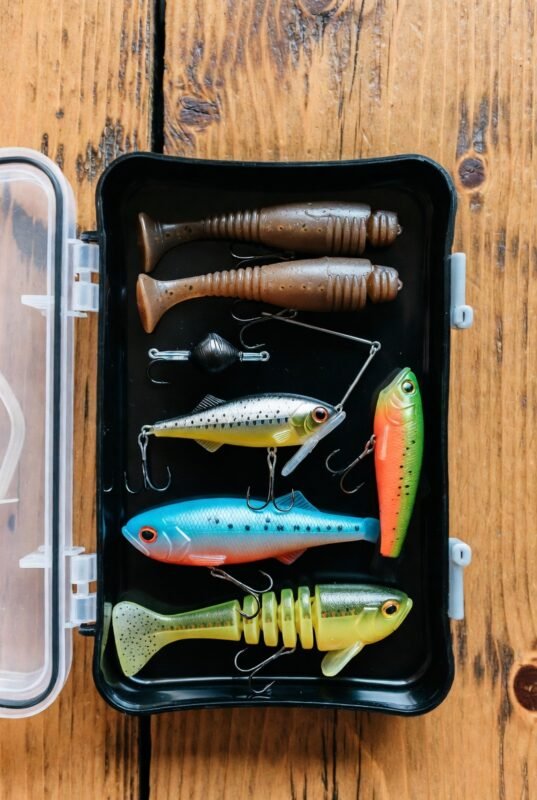 Une boîte à leurres de pêche ouverte et bien organisée pour un pêcheur débutant